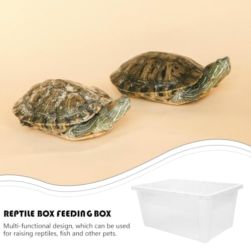 minkissy PVC Reptile Feeding Box for Small Pets and Reptiles with High Surface Hardness and Easy to Observe Container Suitable for Small Animals Showing and Incubation