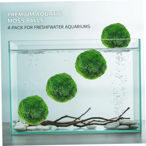 Plantas Naturales, 4-Pack Live Marimo Moss Balls, 2.7-2.9cm After Soaking - Natural Aquarium Plants for Fish Tank Decor & Ecological Bottles, Marimo Planta Viva