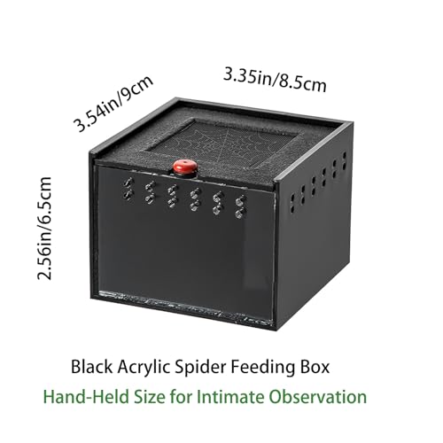 Black Acrylic Jumping Spider Enclosure Cage for Insect Reptile Isopods | Semi-concealed Portable Breeding Enclosure, Sliding Lid Handheld Design Easy to Observe Jumping Spiders and small pets
