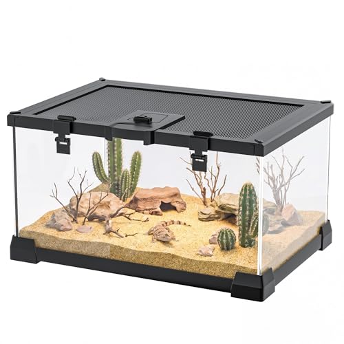 2.5 Gallon Fully Assembled Glass Reptile Enclosure, 12" x 8" x 6" | Top Opening Small Reptile Terrarium Tank for Tiny Terrestrial Reptiles, Amphibians & Invertebrates - size: 12"L x 8"W x 6"H