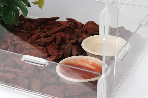 100Pcs 1oz Biodegradable Crested Gecko Food Cups for Reptile Dish