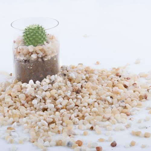 CJGQ 2.4lb Aquarium Gravel for Plants, 1/5Inch Outdoor Decorative River Rocks for Succulents and Cactus Landscaping, Garden Plant Rocks Natural Small Rocks Pea Gravel for Fish Tank Vases Terrarium - size: 2.4 LB