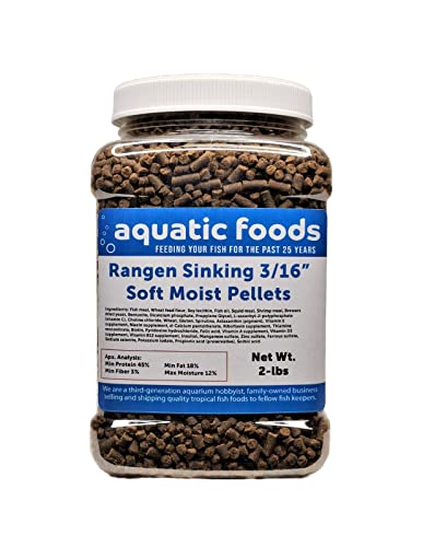 3/16" Soft Moist Sinking Salmon Pellets for Adult Axolotls, Shrimp, Snails, Crabs, Small Amphibians, Bottom Tropical Fish...2-lb Med Jar - size: 2 Pound (Pack of 1)