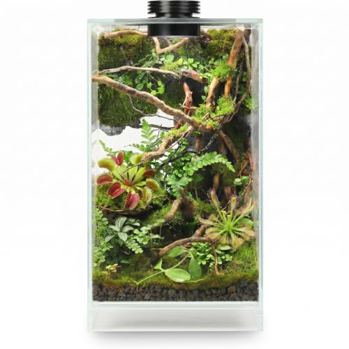 Desktop Glass Plant Terrarium with Grow Light for Carnivorous Plants & Moss | L7.8 x W7.8 x H14 in; Timer Auto On/Off; Succulent Display; Miniature Gardening; Indoor Decor; Gift for Plant Lovers.