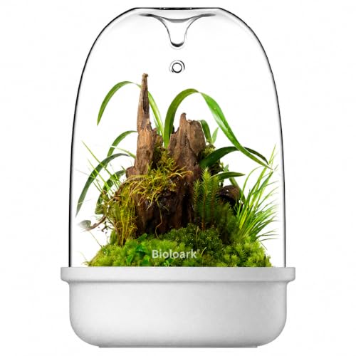 Bioloark Desktop Glass Plant Terrarium & Magnetic Plant Light Series, Moss Terrarium Containers with Ceramic Base, LED Terrarium Lights for Moss, Small Plant Displays (MQ-150 White(6.5" x 9.3")) - color: MQ-150 White(6.5" x 9.3")