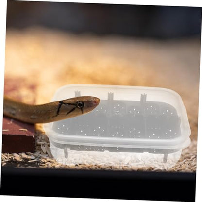 UPKOCH Premium Compartment Reptile Hatchery Box for Efficient Egg Incubation for Geckos Snakes and Lizards Durable and Reusable Breeding Box for Reptile Enthusiasts