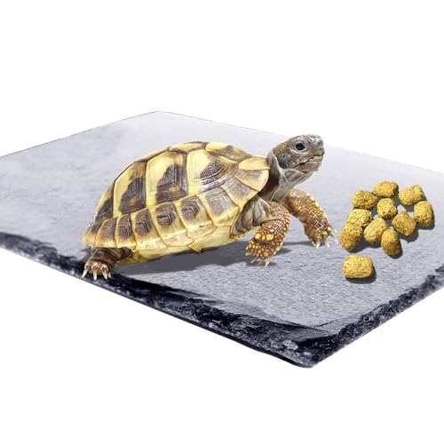 kathson Reptile Basking Platform (7.9 x 11.8 inches), Natural Rock Plate Turtle Food Bowl Feeding Dish Resting Terrace Habitat Decor for Tortoise Turtle Lizard Bearded Dragon Crested Gecko Snake - size: 7.9x11.8inch,1PCS