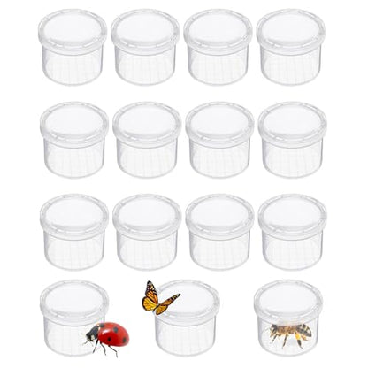 Bug Viewer Jars Critter Cage Magnifying Box 12 Pack | Insect Magnifier, Backyard Nature Exploration, Science Class Collection Entomology Class, Explorer Sample