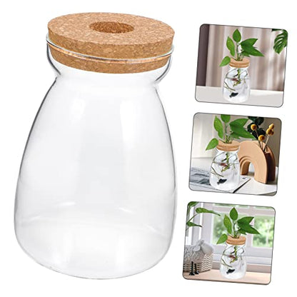 Glass Propagation Jar for Micro Landscape Display and Stable Holding | Viewing, Wood and Glass Build, Living Room Study Placement, Aquarium Gravel or Embellishment Use