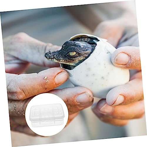 Toyvian 2pcs Reptile Hatchery Box Compartments Incubation Tray for Lizard and Tortoise Eggs Durable Transparent Easy to Clean and Organize Reusable Breeding Tool