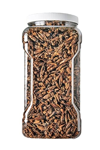 Crickets - Freeze Dried Crickets for Tropical Fish, Reptiles, Turtles, Tortoises Frogs, Hamsters, Birds, Rodents…8oz Med Jar - size: 8 Ounce (Pack of 1)