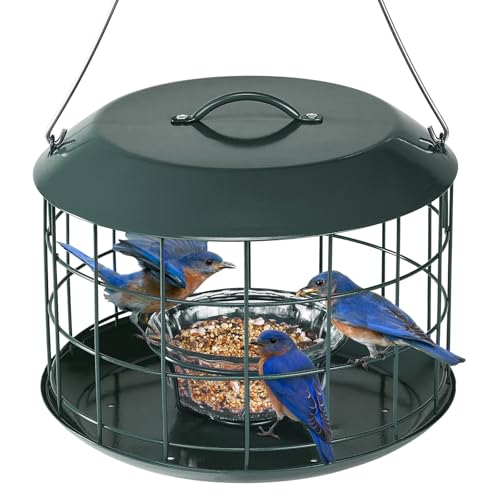 Kingsyard Bluebird Feeders for Outdoors Hanging | Metal Cage Bird Feeder with Tray, Squirrel Proof, for Small wildbirds, Weatherproof, Easy to Refill and Clean, Green - color: Green