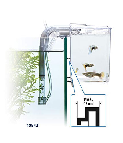 Fluval Multi-Chamber Holding and Breeding Box, Large – Up to 3 Separate Housing Compartments (Pack of 6) - size: Large (Pack of 6)