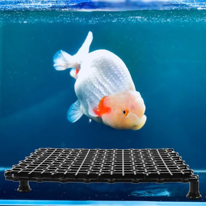 TEHAUX 4pcs Fish Tank Divider Plates with Hole Design for Aquarium Bottom Filter Made of Sturdy Pp Material with Good Water Permeability for Breeding Large Dragon Fish