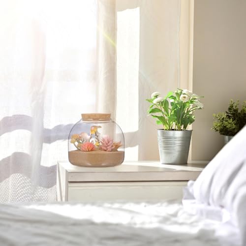 Toddmomy Glass Terrarium Jar with Stopper 5.90In Small Hydroponic Plant Container for Home Office Micro Landscape Decorative Ecosystem