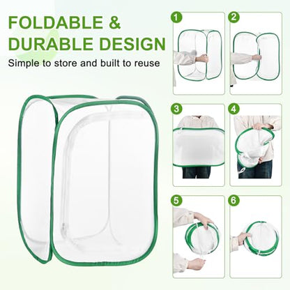M METERXITY Butterfly Habitat Cage Terrarium, Outdoor Collapsible Mesh Pop-up with Zipper Protection for Breeding Butterfly/Ladybug, Mesh Plant Enclosure [White with Green, 24 x 16 x 16 Inch]