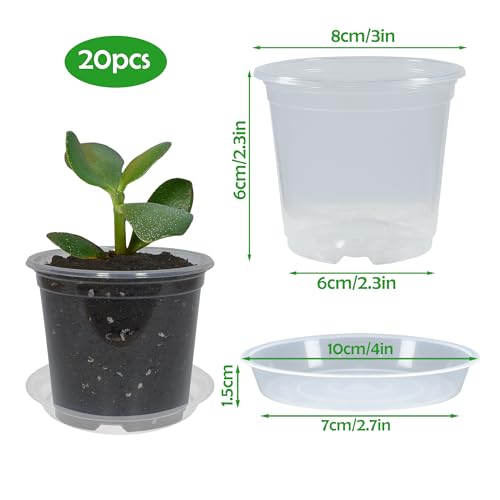 20 Pack 3 Inch Clear Nursery Pots with Drainage and 20 Pack Plant Saucers, Plant Pots for Plants Transparent Potting Containers for Plants Seeding Starter Pot (Clear, 3 Inch) - size: 3 Inch