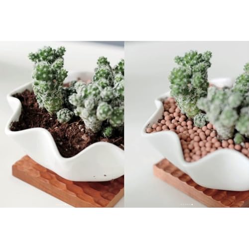 3.0 LB Clay Pebbles, Gardening Ceramsites Growing Media for Succulents Orchids, Aquaponics, Aquaculture Hydroponics. Ceramsite Clay Rocks Decor Cultivation, Leca for Plants (Clay Pebbles) - size: 3.0 LB