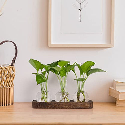YIBOT Plant Propagation Station, Desktop Glass 3 Bulb Vase Brown Wood Tray | Planter Hoder Terrarium,Hydroponic Flower Cuttings Jars, No Assembly, Easy Water Refill, Home Office Decor, Lover Gift Idea - size: 3 Vase-T