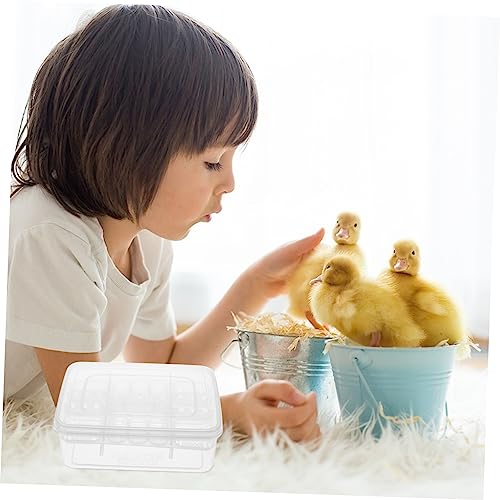 GANAZONO 2Pcs Compartment Reptile Egg Incubator Tray Professional Hatchery Box for Tortoise Lizard Transparent Design for Easy Observation Pet Supply