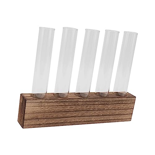 Pssopp Plant Propagation Station Glass Test Tube Plant Terrarium with Wooden Stand for Home Decor Office Living Room Garden (5 Tubes) - size: 5 Tubes