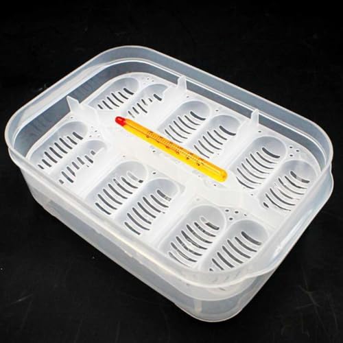 Reptile Incubation Box Reptile Incubator Egg Tray Hatching Box with 12 Grids for Turtle Gecko Lizards Mane