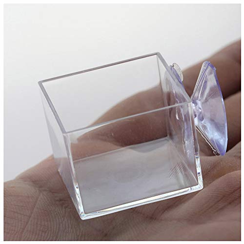 4pcs mini Insect Water Dish, Transparent Plastic, Small Reptile Feeding Feeder, Crickets Pet Worm Cups Spider Gecko Butterfly Mantis Beetle Bowl Set | Wall Mounted Reptile Food Dish And Water Bowl Set For Small Lizard, Mantis And Jumping Spider, Animals E