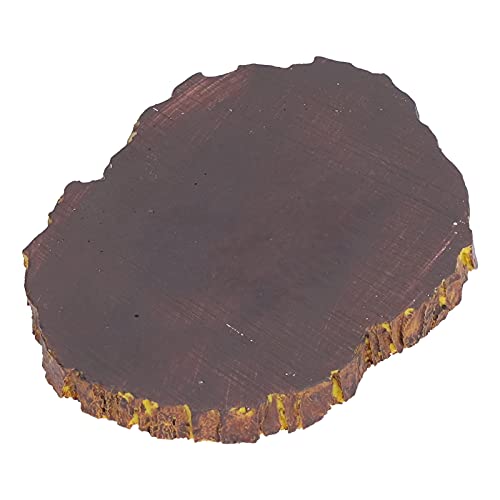 Omabeta Reptile Food Basin Imitation Bark Natural Style Easy Clean Dish for Aquariums Turtles Lizards Size 4.5in