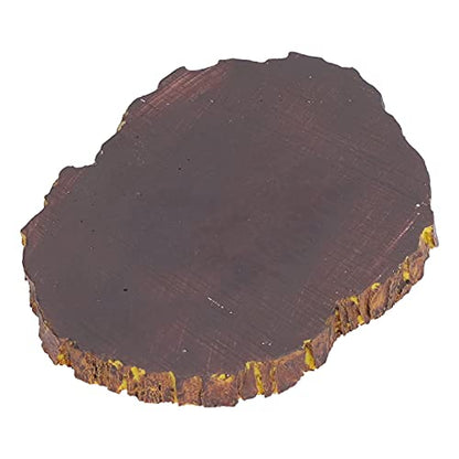 Omabeta Reptile Food Basin Imitation Bark Natural Style Easy Clean Dish for Aquariums Turtles Lizards Size 4.5in