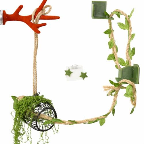 5Pcs Jumping Spider Enclosure Accessories with Hammock, Magnetic Climbing Rope, Resting Ledge Platforms and Feeding Dish Bowl & Hook for Terrarium Habitat (5Pcs Combination Kit) - color: 5Pcs Combination Kit