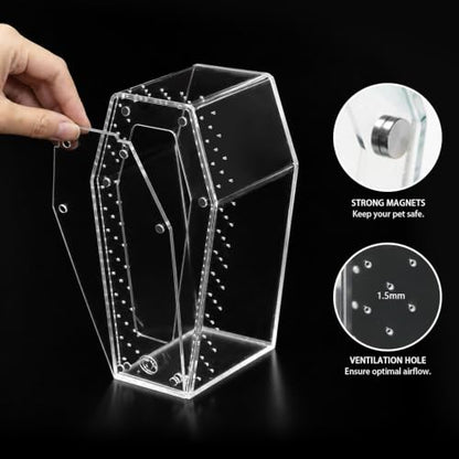 Installation-Free Acrylic Coffin Jumping Spider Enclosure - Gothic Terrarium Habitat with Magnetic Lid, Micro Reptile Breeding Box for Slings, Mantis, Isopods and Small Insects - color: transparent