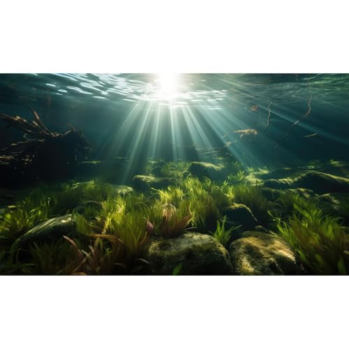 Ocean Floor Aquarium Background Underwater Green Aquatic Seagrass Fish Tank Background Under The Sea Seaweed Sunbeams Terrarium Backgrounds Misty Deep Sea Cork Caves Backgrounds for Aquarium 36x24in - size: 36(W)x24(H)inches/ 90(W)*60cm(H)