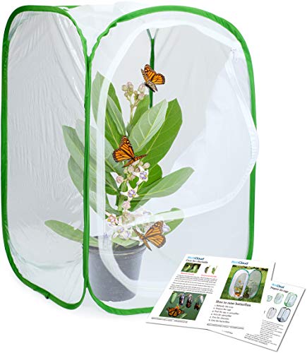 RESTCLOUD Insect and Butterfly Habitat Cage Terrarium Pop-up 23.6 Inches Tall - color: White With Green, size: 15.7 x 15.7 x 23.6 inches