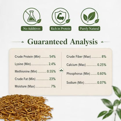 2LB Dried Mealworms with 175g Pecking Treat Cake for Chickens | Ducks & Wild Birds - High Protein Natural Poultry Treats