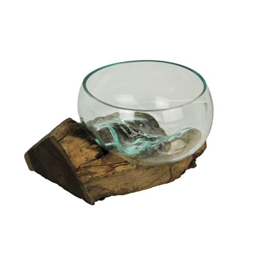 Decorative Vase, 10 Inch Wide-Mouth Molten Glass on Teak Driftwood | Artisan-Crafted, Natural Finish, Serves as Sculptural Bowl, Planter, Terrarium, Or Centerpiece