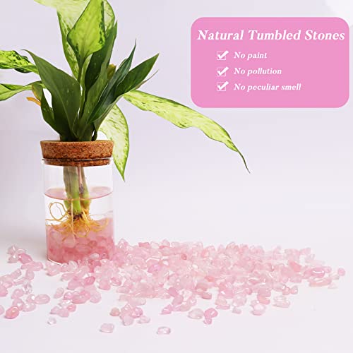 QICQDRAM Polished Gem Stones Rocks Rose Quartz Crystals Chips Natural 1LB | Small Tumbled Stones Crystal Chips Bulk for Healing Crystals Fish Tank Gravel Vase Filler (405g/14.28oz) - color: Rose Quartz