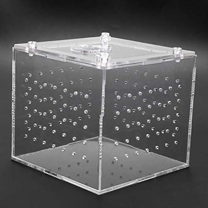 Reptile Breeding Box Acrylic Terrarium Transparent Durable Enclosure with Ventilation Holes Feeding Hole Safety Lock Cover for Snakes Spiders Lizards Insects Small Pets 10x10x9cm