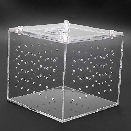 1Pc HighQuality Ylic Reptile Terrarium Feeder with Feeding Hole and Lock for Snakes, Spider, and Other Sm Pets