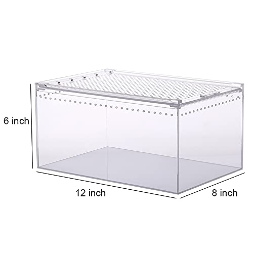 NANEEZOO Magnetic Enclosure for Spider, 12 x 8 x 6 Inch Reptile Breeding Box Terrarium Cage for Insect Tarantulas Amphibians Caterpillars Snail Clear Reptile Feeding Box