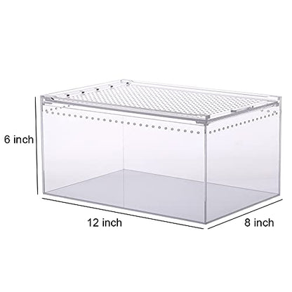NANEEZOO Magnetic Enclosure for Spider, 12 x 8 x 6 Inch Reptile Breeding Box Terrarium Cage for Insect Tarantulas Amphibians Caterpillars Snail Clear Reptile Feeding Box