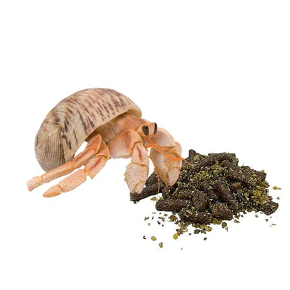 Needzo Hermit Crab Food, Natural Supplies and Necessities for Pets, Resealable Bags, 2 Ounces (Pack of 2)