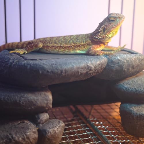 Large Bearded Dragon Basking Platform, Lizard, Snake or Reptile Hide with Heat Storage Slate Stone, 12.6x7x3.5 inch Oversized Gecko Hide Cave - size: L / 12.6x7x3.5 inch