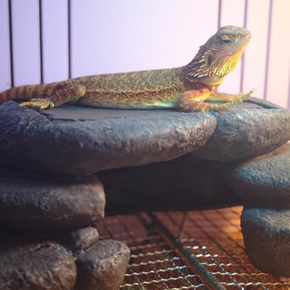 Large Bearded Dragon Basking Platform, Lizard, Snake or Reptile Hide with Heat Storage Slate Stone, 12.6x7x3.5 inch Oversized Gecko Hide Cave - size: L / 12.6x7x3.5 inch