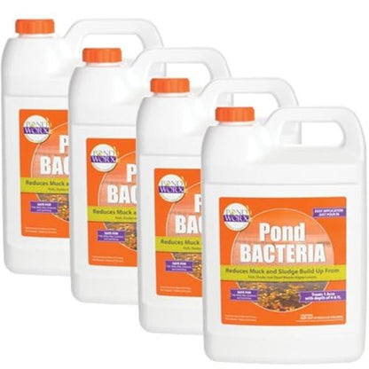 Pondworx Pond Bacteria - Formulated for Water Features and Safe for Koi (4 Gallon Value Pack) - size: 4 Gallon Value Pack