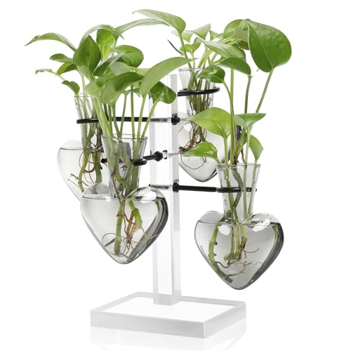 Plants Propagation Stations Plant Terrarium Kit Gift for Women | Birthday Glass Planters For Indoor Plants Home Office Decor Acrylic Plant Accessories - 4 Love Hear Vase - color: Gray