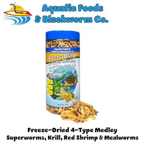4-Type Medley Freeze Dried Superworms, Krill, Shrimp, Mealworms... 2oz Can - size: 2 Ounce (Pack of 1)