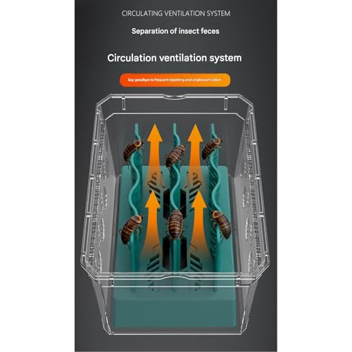 Climbing Feeder for Cockroach and Small Reptiles Features Quick Assembly Design Dragon Feeding