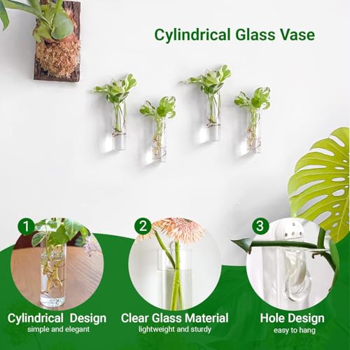 Terrarium Hanging Glass Wall Planters Air Plant Holders Round Glass Plant Pots Containers for Hydroponics Plants, Succulents, Herbs, Flowers (Cylinder 4pcs)