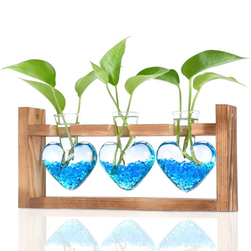 Plant Terrarium with Wooden Stand, 3 Heart Bulb Glass Vases | Wooden Stand Tabletop for Air Planter, Gifts for Mom Plant Lovers Mom Women Wife Grandma - color: Transparent