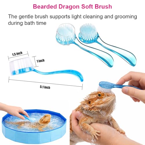 6Pcs Bearded Dragon Pool – Foldable Reptile Bathtub & Towel (Large or Medium Size), Bath Brush, Spray Bottle & Plastic Tweezers for Bearded Dragons, Bearded Dragon Bath Accessories (Medium) - size: Medium